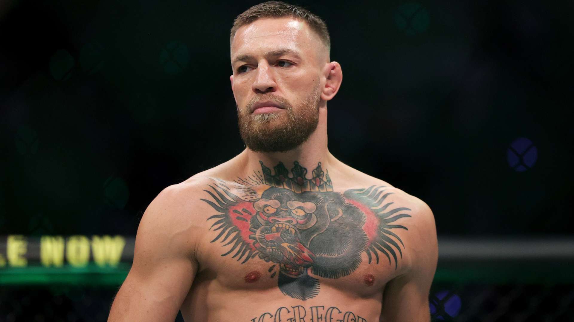 强拼搏的精 强拼搏的精