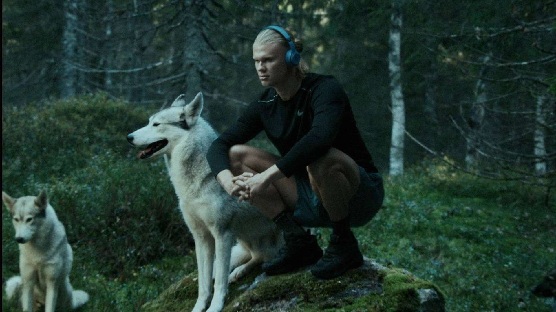 環境下的典 環境下的典