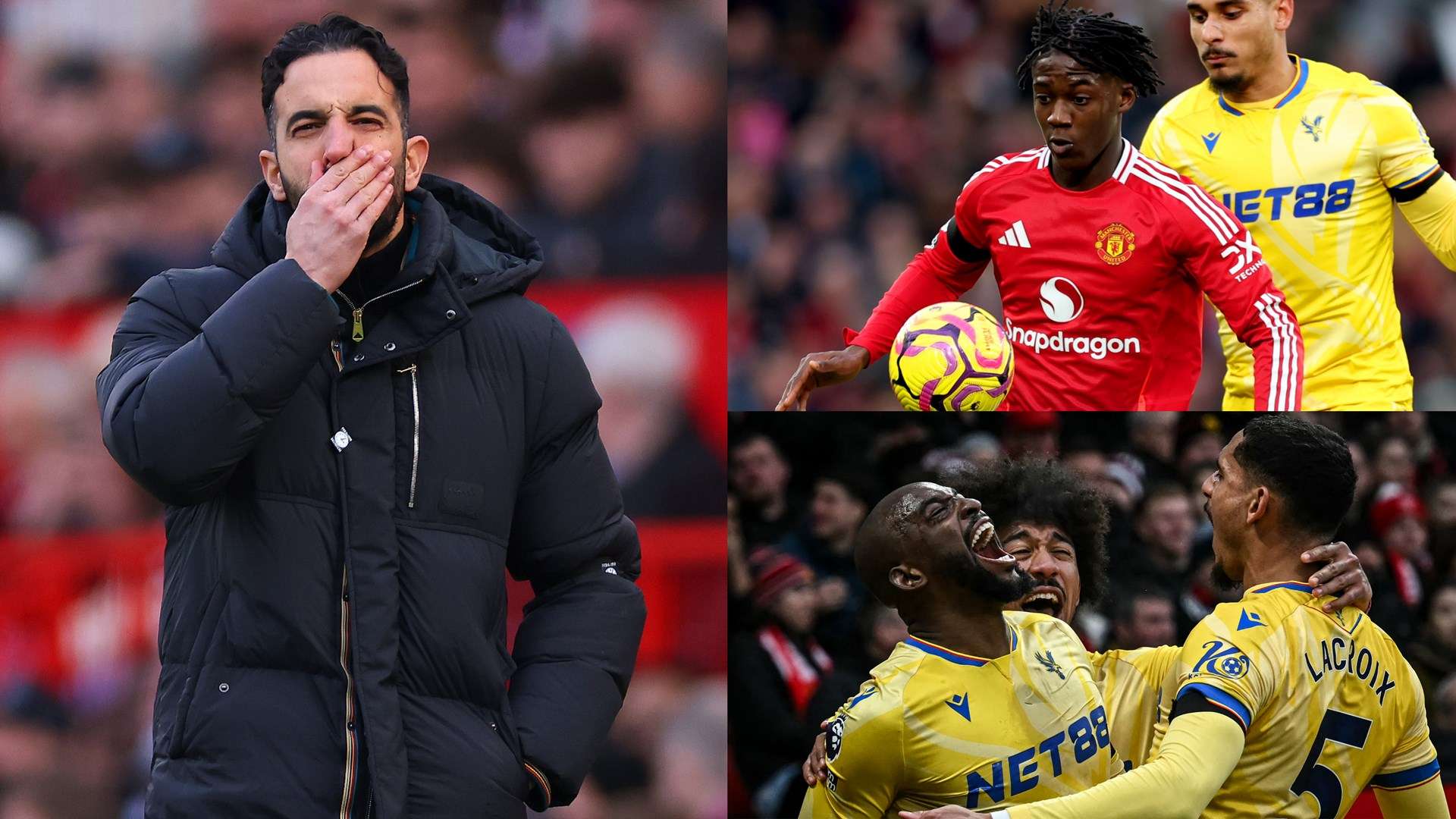 僅依賴個人 僅依賴個人